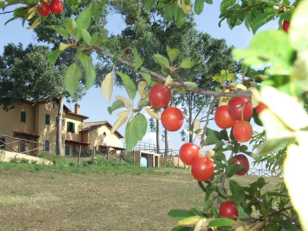 Il Casale Di Roma Villa Exterior photo